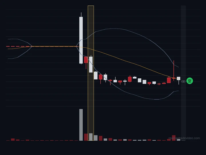 爆量：開盤那根黑K的量放大到平常的好幾倍，是這段走勢裡量最突出的一根。